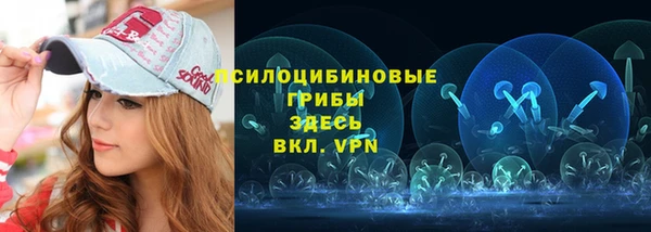 ПСИЛОЦИБИНОВЫЕ ГРИБЫ Киреевск