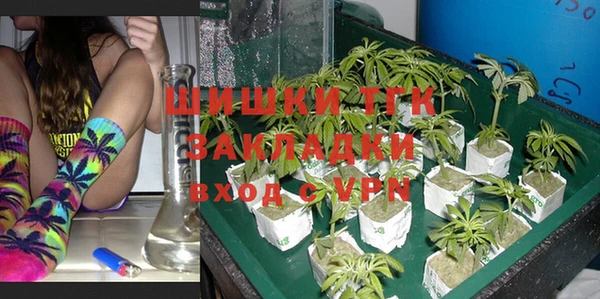 ПСИЛОЦИБИНОВЫЕ ГРИБЫ Киреевск