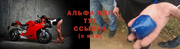 крисы Киренск