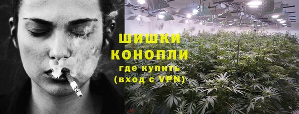 ПСИЛОЦИБИНОВЫЕ ГРИБЫ Киреевск
