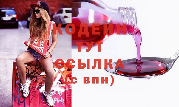 крисы Киренск