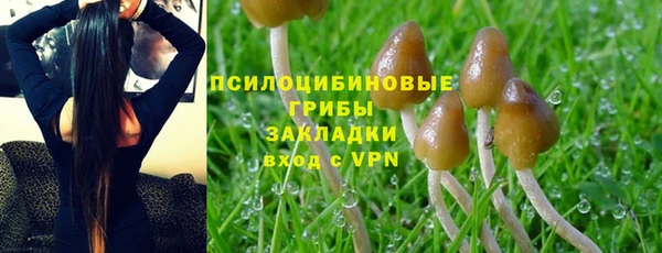 хмурый Кинешма