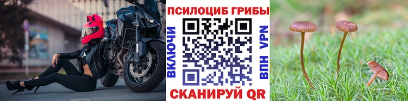 Купить  Буйнакск  Псилоцибиновые грибы ЛСД 