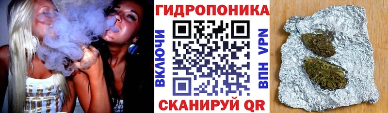 Бошки марихуана OG Kush Буйнакск
